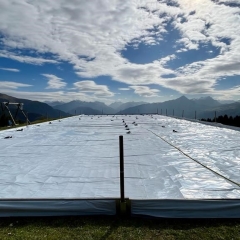 Enten auf dem Eisfeld